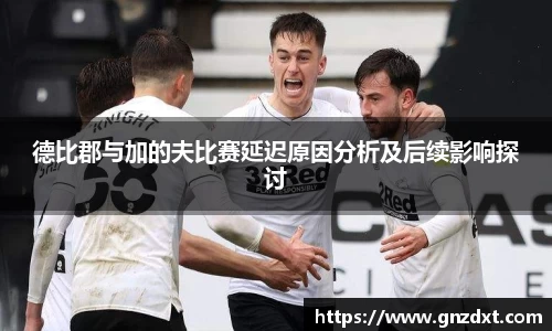 德比郡与加的夫比赛延迟原因分析及后续影响探讨