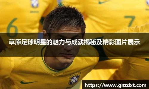 草原足球明星的魅力与成就揭秘及精彩图片展示