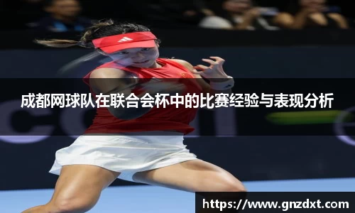 成都网球队在联合会杯中的比赛经验与表现分析